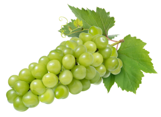 Green grape with leaves isolated on white. Shine Muscat Grape on white PNG file.