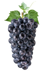 Purple grape on white  background, Kyoho Grape with leaves on white PNG file.