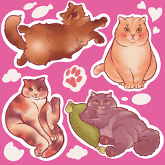 stickers of cute and cuddly fluffy cats - 536897036