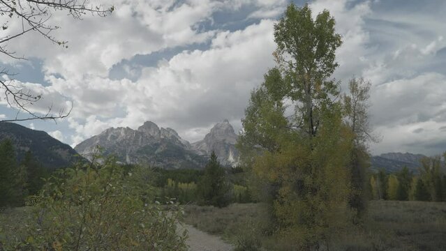Hiking Taggart Lake Trail, Beautiful Trees and Grand Teton Peaks Towering in Background