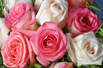 Beautiful bouquet of pink and white roses 