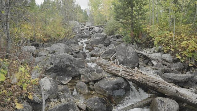 Taggart Creek, Tumbling River Cascades and Grand Teton Peaks above the Trees in Slow Motion