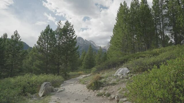 Hiking Taggart Lake Trail, Beautiful Trees and Grand Teton Peaks Towering in Background