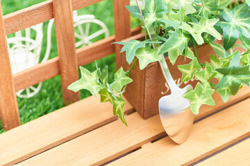 ガーデニングのイメージ素材