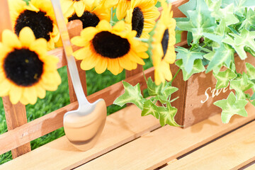 ガーデニングのイメージひまわり