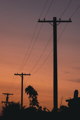 Power lines at sunset