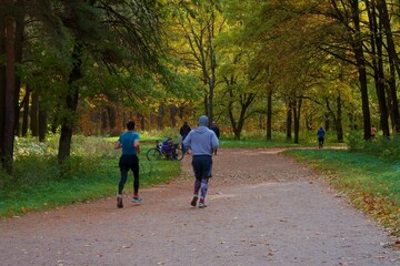 Fototapeta premium walking in the park