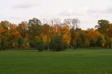 autumn in the park