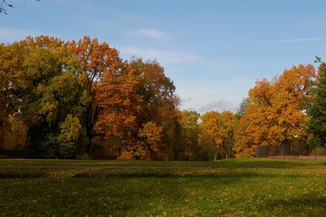 autumn in the park