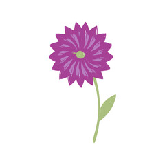 Floral Art.  flower drawing with line-art. Drawing vector graphics with floral pattern for design.