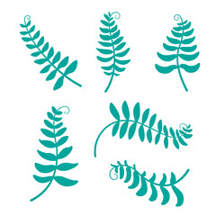 pattern with branches and leaves, Set of fern leaves. Set of leaves. Hand drawn decorative elements. Vector illustration. Vector designer elements set collection of green forest fern.