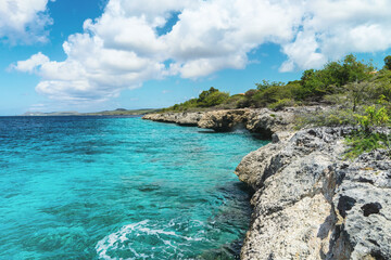 Coast of the island of bonaire in summer.