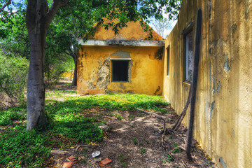 Fototapeta na wymiar Old derelict house with trees and garden on island Bonaire