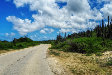  road on the north side of Bonaire