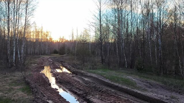 Swampy road with puddles in the forest against the background of the evening sunset. forest road in spring