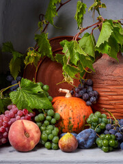 Beautiful still life with different varieties of fruit
