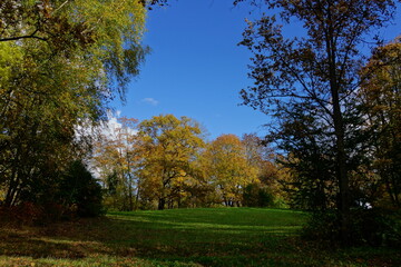 Fototapeta premium autumn in the park