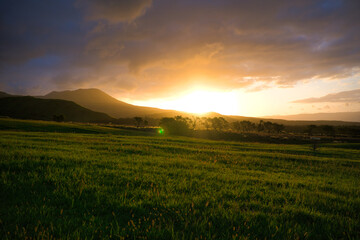 夕日, 風景, 野原, 夕焼け, 自然, 草, 牧草地, 緑, 太陽, 雲, 山, 地球の,...