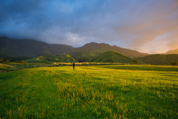 阿蘇, 空, 風景, 草原, 自然, 牧草地, 夕焼け, 広大, 雲, 大自然, 緑, 太陽,...