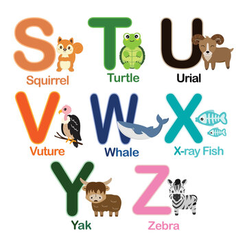 English alphabet with cute animals vector illustration.