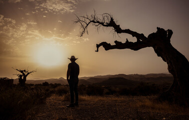 Silhouette of adult man standing on desert during sunset. Almeria, Spain