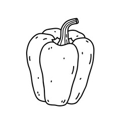 Bell pepper isolated on white background. Organic healthy food. Vector hand-drawn illustration in doodle style. Perfect for cards, logo, decorations, recipes, various designs.