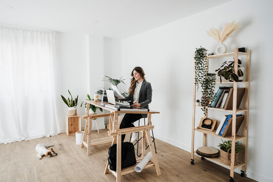 Young businesswoman working in modern office with dog lying on the floor
