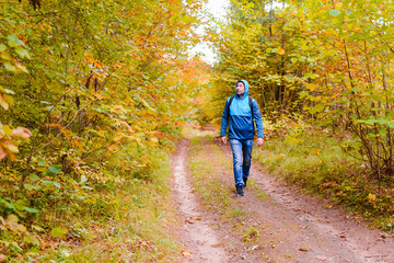 Fototapeta premium A middle age male hiking with a backpack.Man walks along the autumn forest path way.A healthy lifestyle in nature.