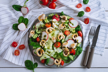 Fresh vegetable salad with chicken breast slices with chimichurri sauce. top view. Slices of radish, cherry tomatoes, sorrel leaves and iceberg lettuce.