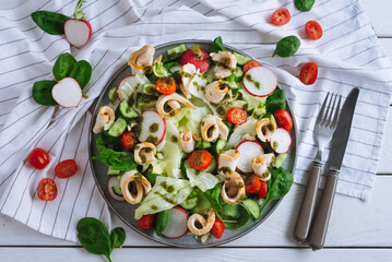 Fresh vegetable salad with chicken breast slices with chimichurri sauce. top view. Slices of radish, cherry tomatoes, sorrel leaves and iceberg lettuce.