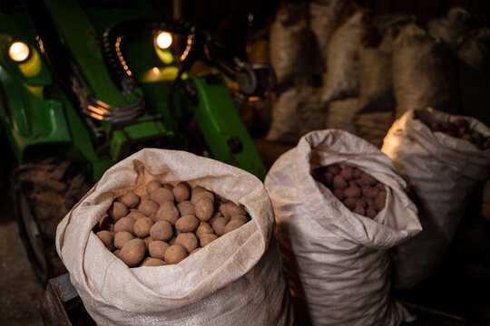 Shot of green tractor transporting bags of potatoes in hangar of farm.