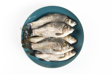 Freshly freshwater fish Crucian carp in plate isolated on white background