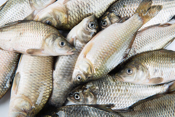 heap of freshly freshwater fish Crucian carp closeup.
