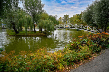 Fototapeta na wymiar City park with pond and bridge to small island