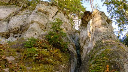 The large sandstone cliffs of Sietiniezis on the banks of the Gauja River in Latvia. tourist nature trail for hiking with wooden stairs. Gauja National Park in the vicinity of Valmiera, Autumn, 