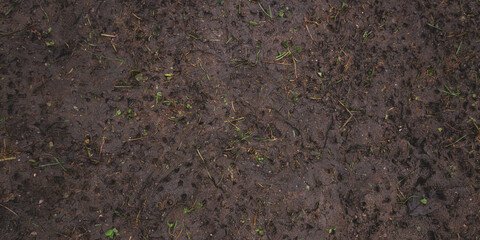 autumnal brown muddy texture soil on the ground with some green grass