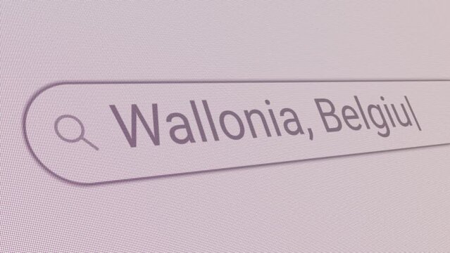 Search Bar Wallonia Belgium 
Close Up Single Line Typing Text Box Layout Web Database Browser Engine Concept