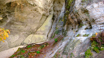 The large sandstone cliffs of Sietiniezis on the banks of the Gauja River in Latvia. tourist nature trail for hiking with wooden stairs. Gauja National Park in the vicinity of Valmiera, Autumn, 