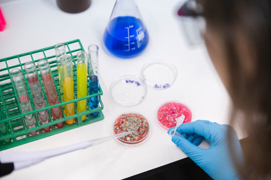 Scientist using pipette by petri dishes on table in laboratory