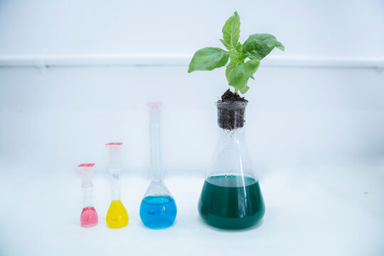 Multi colored chemicals in flasks arranged on table at laboratory