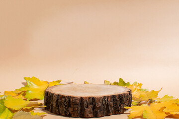 Autumn podium made of natural wood and autumn foliage.