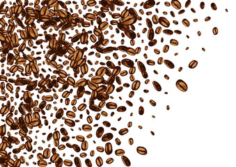 Black Seed Sketch Vector White Background. Drawn