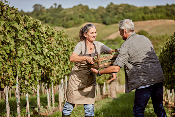 Smiling farmer giving crate of grapes to coworker in vineyard