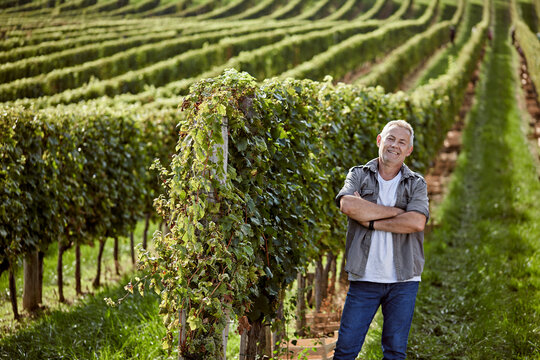 Smiling farmer with arms crossed in vineyard