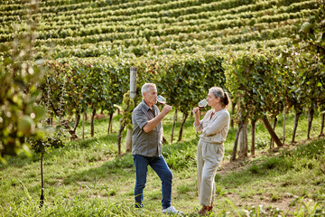 Mature man and woman drinking wine in vineyard