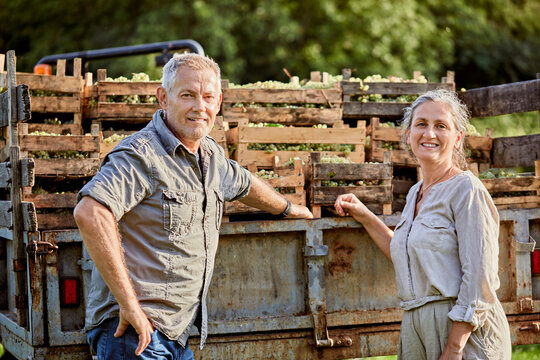Smiling mature farmers in front of truck with crate of grapes