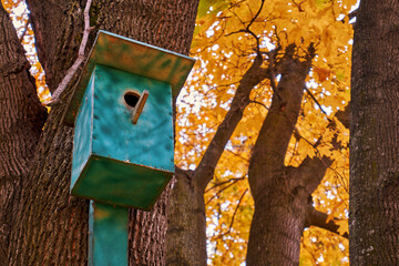 Birdhouse without birds on a tree in autumn