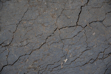 Cracked earth, drought, lack of water, parched earth