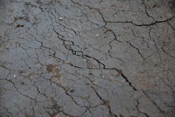 Cracked earth, drought, lack of water, parched earth