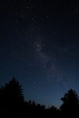 Fototapeta na wymiar Milky Way over Lake Pukaki, New Zealand